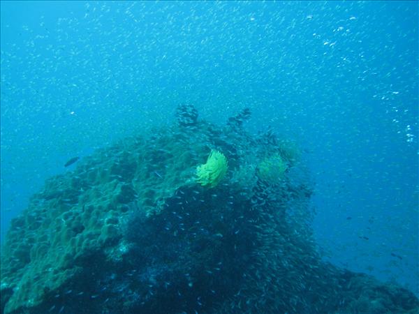 Similan Day 1 006.jpg